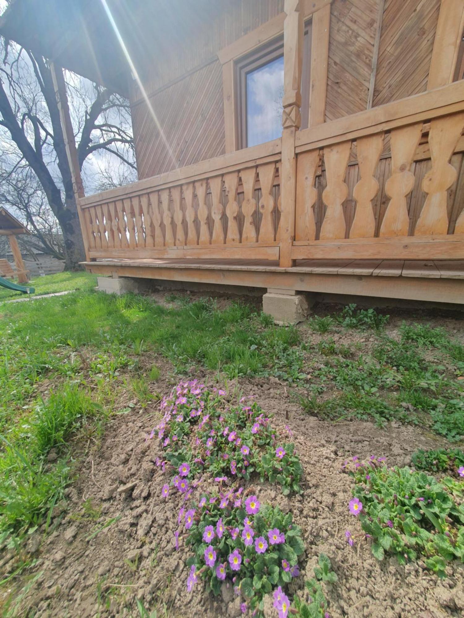 Casa Traditionala Bilbor Екстериор снимка
